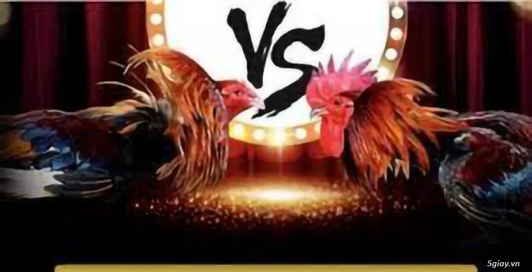 Hướng Dẫn Cách Chơi Đá Gà GA28 Tại 23WIN Thú Vị Nhất