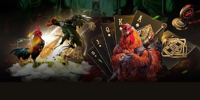 Tìm Hiểu Cách Chơi Đá Gà 3D Tại 23WIN Hấp Dẫn Nhất
