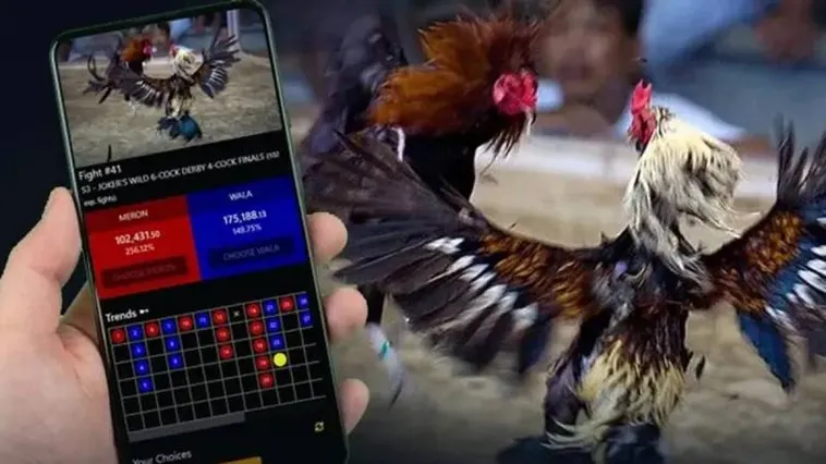 Khám Phá Đá Gà 23WIN Sân Chơi Kịch Tính Hàng Đầu Việt Nam