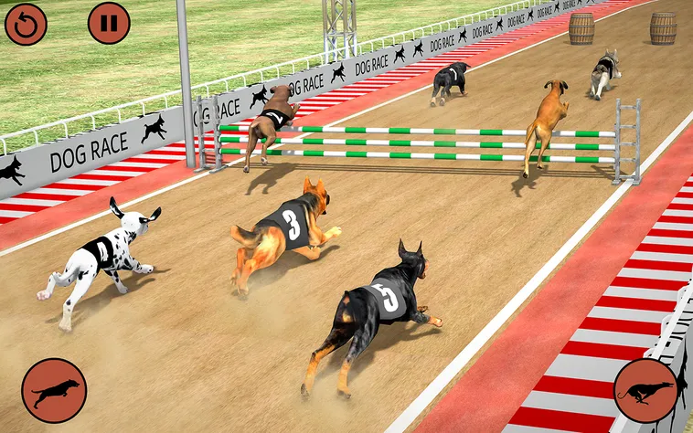 Cách Chơi Game Nhanh Đua Chó Tại 23WIN Kịch Tính Nhất