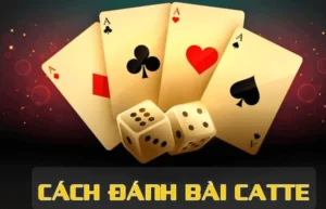 Cách Chơi Sắc Tê Nhà Cái 23WIN Thú Vị Dành Cho Người Mới Bắt Đầu