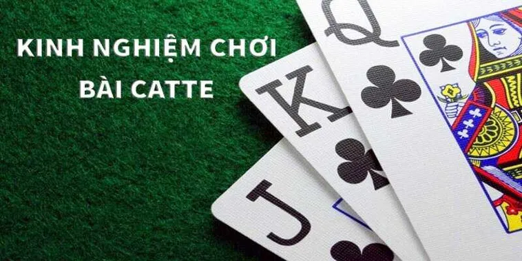 Cách Chơi Sắc Tê Nhà Cái 23WIN Thú Vị Dành Cho Người Mới Bắt Đầu